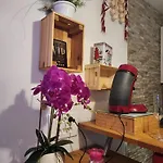 Luxy Daire Courseulles-sur-Mer